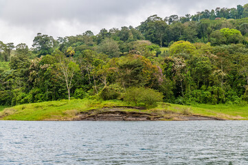 Fototapeta na wymiar A view trees on the shoreline of the Arenal Lake in Costa Rica during the dry season