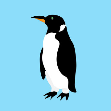 penguin sideways on a blue background illustration
