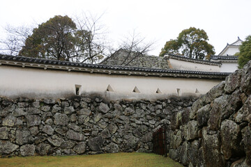 Fototapeta premium 姫路城