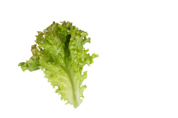 Red lettuce on a transparent background