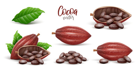 Set of Cocoa Pods with beans isolated. Vector