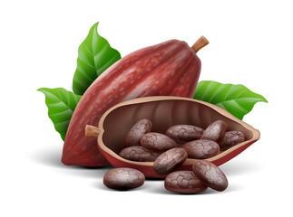 Cocoa pod with beans isolated. PNG
