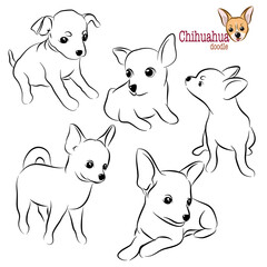 Hand drawn set of Chihuahua doodle. Vector illustration on white background.