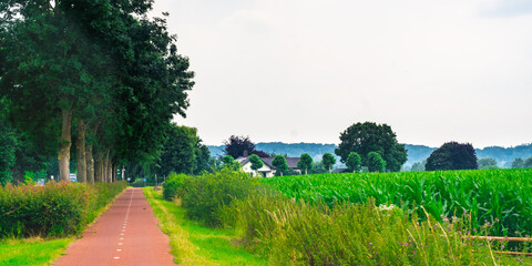 Empty bike path background image at the Ooijpolder in Gelderland the Netherlands during the summer