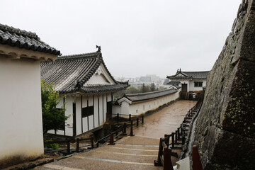 Fototapeta premium 姫路城