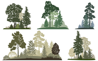Forest landscapes set, vector illustration.