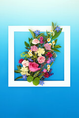 Edible flower and herb abstract bouquet composition with white square frame. Summer flowers nature health food design on gradient blue background. Flat lay.
