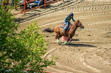 Teenage girl competing in an equine barrel competition in the summer