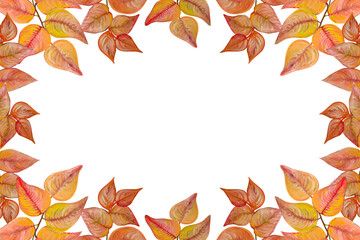 Frame of golden leaves painted in watercolor on a transparent background.
