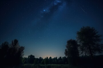 Fototapeta na wymiar Night sky with stars 
