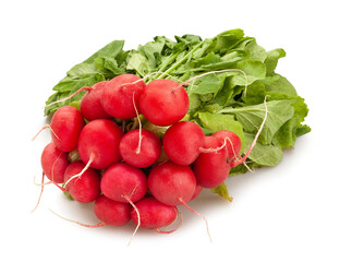 radish path isolated on white