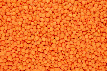 Red lentils, macro, top view.