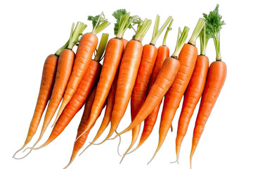Set of carrots on transparent background