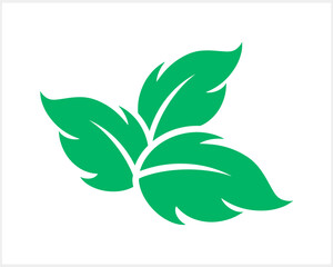 Stencil leaf icon isolated. Eco clipart. Laurel cartoon vector stock illustration. EPS 10