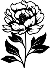 Peony - Black and White Isolated Icon - Vector illustration