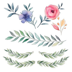 Watercolor floral border elements on transparent background