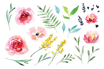 Watercolor painting of flowers and leaves individual element collection 