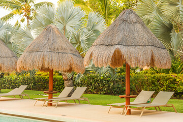 palapa sun roof beach umbrella by the beach symbolizes relaxation, shade, and protection. It...