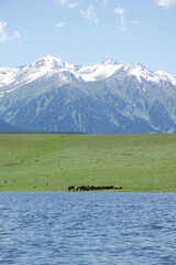 landscape with lake and mountains