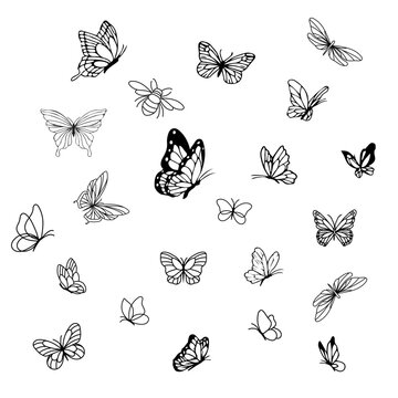 Silhouettes of butterflies. Black pictures of funny butterflies. Insect butterfly black silhouette, winged gorgeous animal, vector illustration