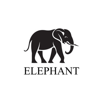 Elephant logo - Elephant icon, vector illustration on white background