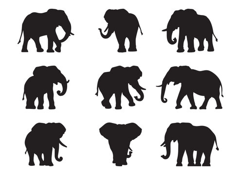 Elephant silhouette set - isolated vector images of wild animals