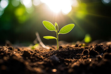 Plakat A small baby plant emerges from the soil, basking in the warm sunlight of a new day. Its green leaves and delicate stem. Nature growth. Sustainable agriculture and ecology in rich soil. Generative AI