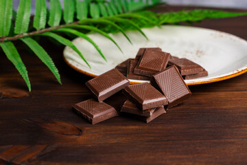 Chocolate bar pieces on a white fancy plate decorated with a fresh branch and leaves lying on a dark wooden table.