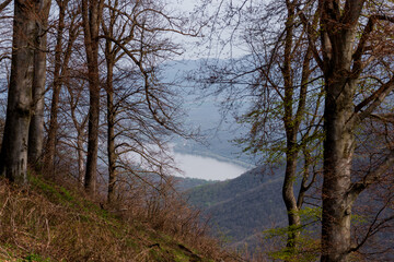Spring Danube river bend panorama from Pilis