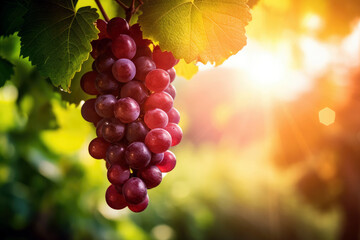 Fototapeta premium vibrant bunch of grapes hanging from a vine with a blurred vineyard in the background, copyspace for text, generative ai