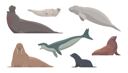 Flat set of pinnipeds. Isolated animals on white background. Vector illustration
