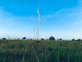 A wind turbine in a field with the sky in the background