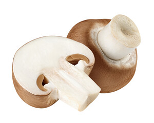 champignon, mushroom, isolated on white background, full depth of field