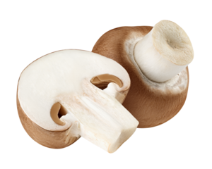 champignon, mushroom, isolated on white background, full depth of field