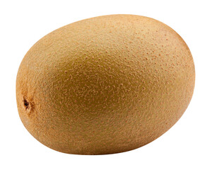 kiwi isolated on white background, full depth of field
