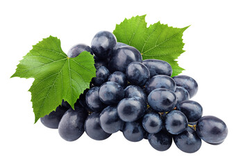 purple grape, isolated on white background, full depth of field