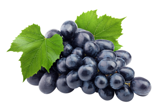 purple grape, isolated on white background, full depth of field