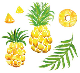 Pineapple fruit and slices set. Watercolor exotic collections on white background for textile, wallpaper print, fashion in modern style. - 595367097