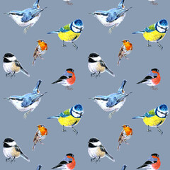 Seamless pattern of birds drawn with markers. Tits, nuthatch, bullfinch, robin and chickadees. On a blue grey background. For fabric, sketchbook, wallpaper, wrapping paper.