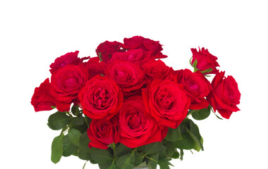 bouquet of fresh roses