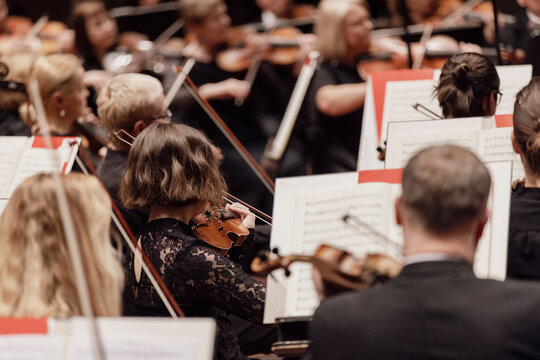 Violin players of a string section during a live symphony orchestra concert
