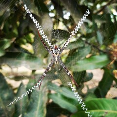 My photo shoot animals