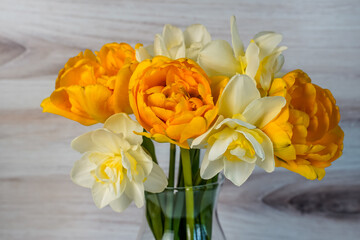Arrangement of tulips and daffodils in a glass vase. Wood background.
