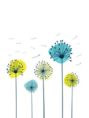 Dandelion Flowers on colored background. Vector illustration
