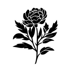 Peony - Black and White Isolated Icon - Vector illustration