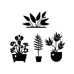 Plants - Black and White Isolated Icon - Vector illustration