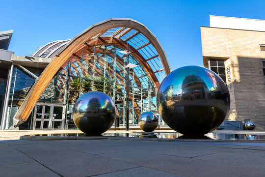 Winter Garden - One of the largest temperate glasshouses in Sheffield, UK