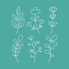 FLOWERS AND LEAVES, DOODLES. Set of simple drawings of plants. Collection , Abstract flower, branch, grass.  Floral branch and minimalistic leaves for logo or tattoo. Hand drawn line.