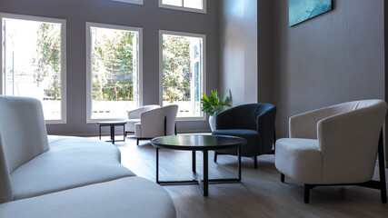 Living room with Armchair. Sofa and chair decoration in living room interior. Business interior in a office.