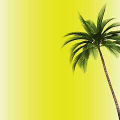 Fototapeta na wymiar Green tropical palm leaves on a yellow background. A simple beautiful summer concept 